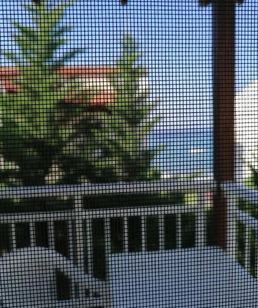 Sunset Apartment Hanioti Greece